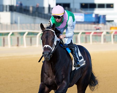 Disco Time wins the 2025 Dwyer Stakes at Aqueduct Racetrack