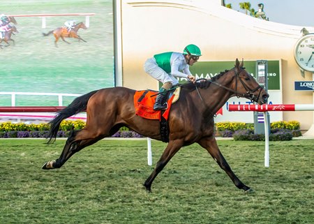 Truly Quality wins the Hollywood Turf Cup Stakes at Del Mar