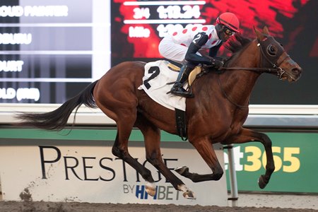 Souper Caliber wins a maiden special weight at Woodbine