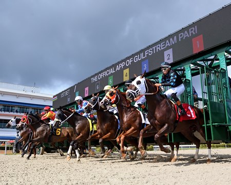 Racing at Gulfstream Park