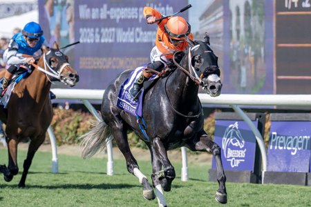 Shisospicy with Irad Ortiz Jr. wins the 2025 Breeders' Cup Turf Sprint at Del Mar