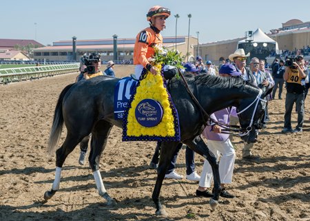 Shisospicy enters the winner's circle after the 2025 Breeders' Cup Turf Sprint at Del Mar