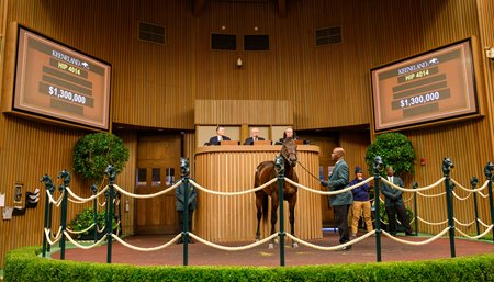 Bishops Bay sells for a sale record $1.3 million at the Keeneland November Horses of Racing Age Sale