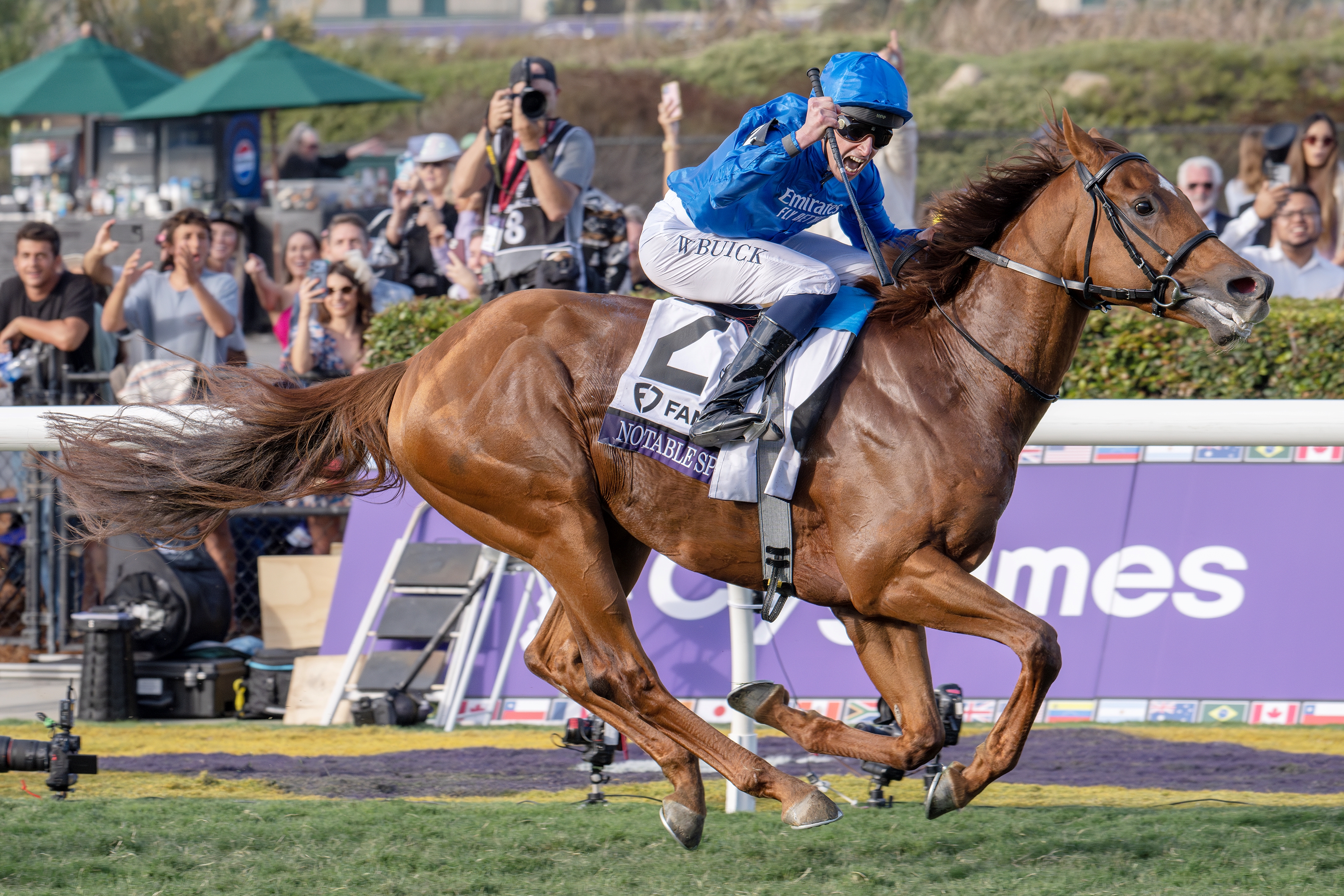 Notable Speech Takes Eclipse as Champion Turf Male - BloodHorse