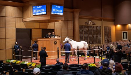 Streak of Luck tops Fasig-Tipton's The November Sale at $6.2 million