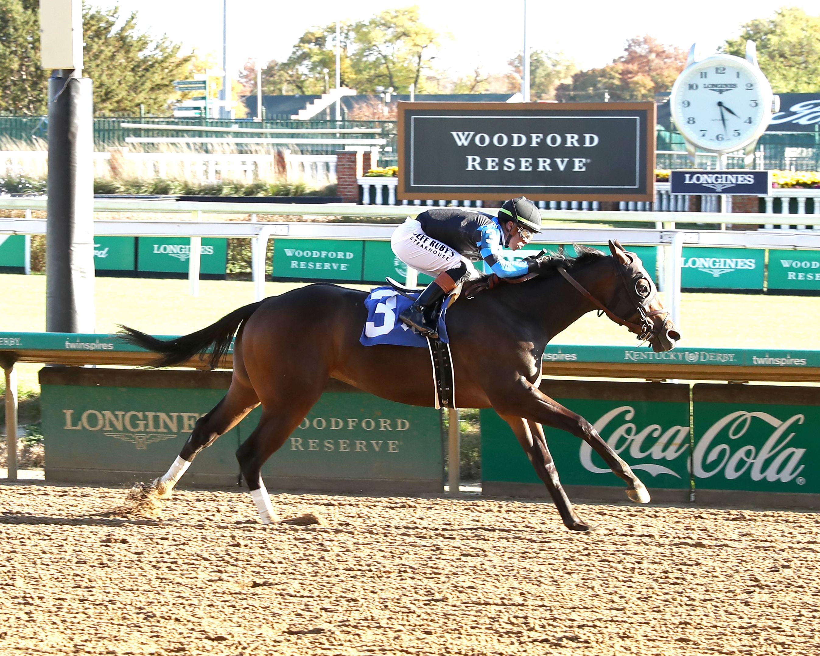 Awesome Hawaiian's Victory a Win for Rescue Horses - TrueNicks.com