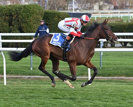 Deep Learning wins the 2025 Chelsey Flower Stakes at Aqueduct Racetrack