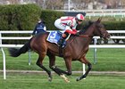 Deep Learning wins the 2025 Chelsey Flower Stakes at Aqueduct Racetrack
