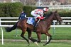Deep Learning wins the 2025 Chelsey Flower Stakes at Aqueduct Racetrack