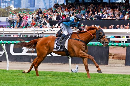 Half Yours wins the Melbourne Cup at Flemington Racecourse