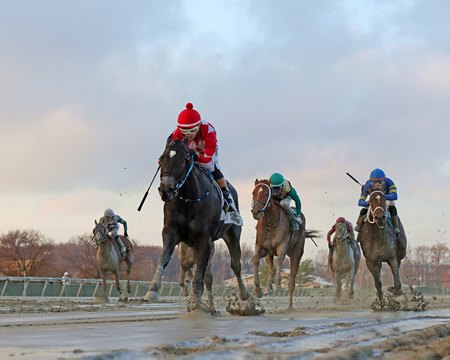 Horses compete down the stretch at Parx Racing