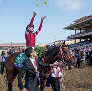 Forever Young after winning the 2025 Breeders' Cup Classic at Del Mar