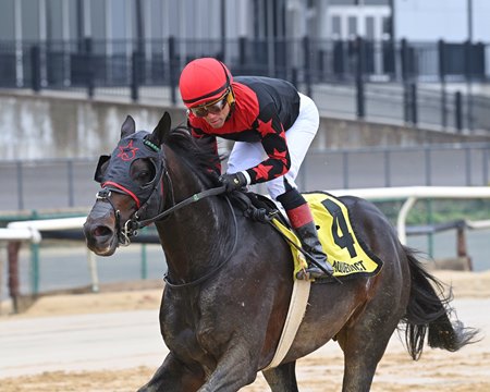 Doc Sullivan wins the New York Stallion Series Stakes Thunder Rumble Division at Aqueduct Racetrack