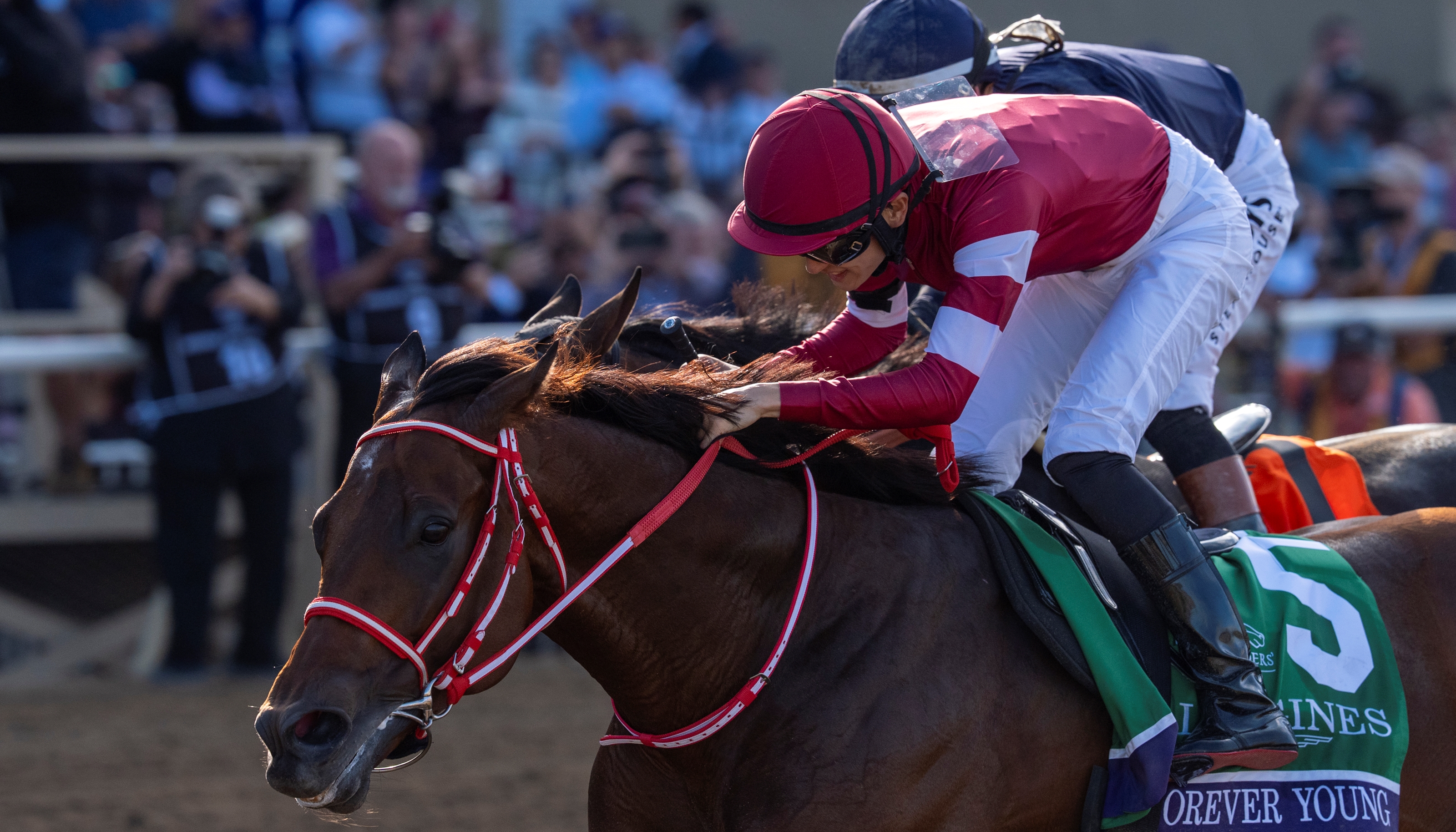Breeders' Cup Releases Challenge Series Schedule - BloodHorse