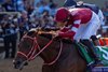 Forever Young wins the 2025 Breeders' Cup Classic at Del Mar