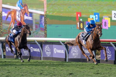 Sahlan Retired to Haras de Bouquetot for 2027