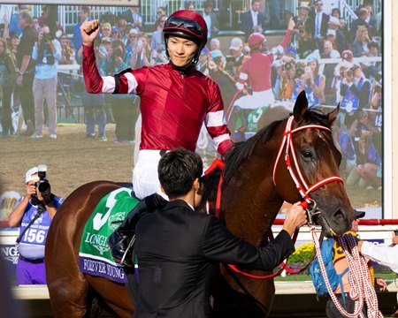 Forever Young following his 2025 Breeders' Cup Classic win at Del Mar