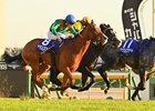 Calandagan wins the Japan Cup on November 30, 2025 at Tokyo Racecourse. Ridden by Mickael Barzalona, trained by Francis-Henri Graffard, and owned by Aga Khan Studs. Photo by Katsumi Saito