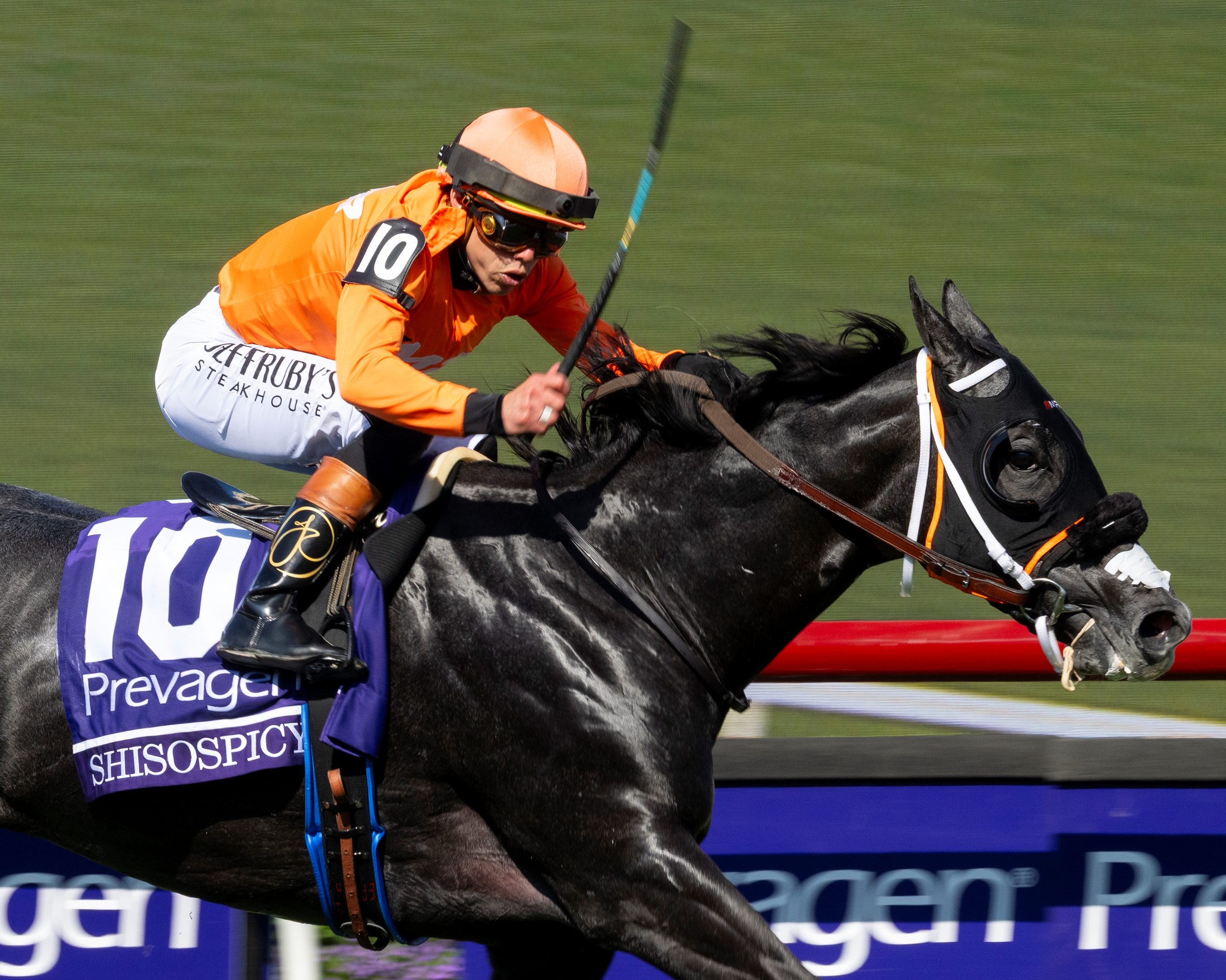 Shisospicy Heads Top Offerings At F-T November Sale - BloodHorse