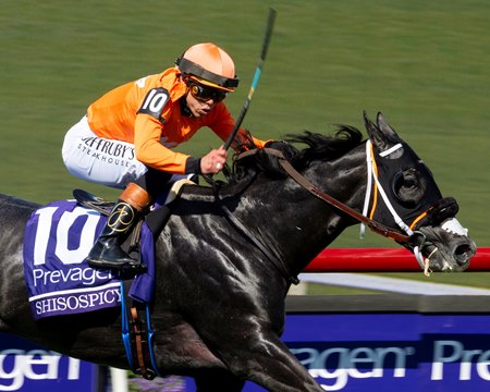 Shisospicy wins the Breeders' Cup Turf Sprint at Del Mar