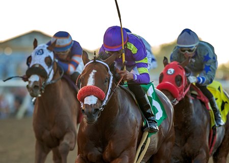 Man O Rose wins the The Chosen Vron Stakes at Del Mar