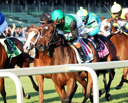 Proctor Street (inside) wins the Cardinal Stakes at Churchill Downs