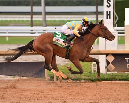 Strategic Risk wins the Florida Sire In Reality Stakes at Gulfstream Park