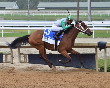 Mythical wins the 2025 FTBOA Florida Sire My Dear Girl Stakes at Gulfstream Park