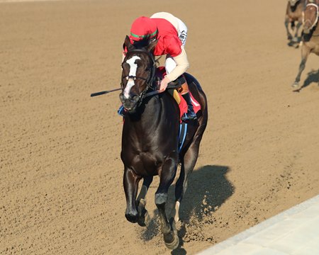 Maximum Bourbon breaks his maiden in 2025 at Churchill Downs