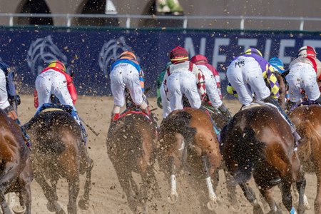 The 2025 Breeders' Cup Classic