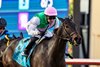 Juddmonte&#39;s Segesta and jockey Flavien Prat win the Grade I $300,000 Matriarch Stakes Sunday, November 30, 2025, at Del Mar Thoroughbred Club, Del Mar, CA.  
Benoit Photo