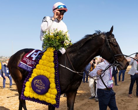 Ethical Diamond's First Trainer Thunderstruck After BC