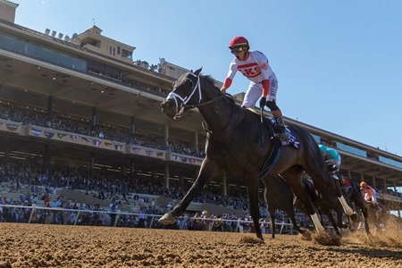 Bentornato wins the Breeders' Cup Sprint at Del Mar 