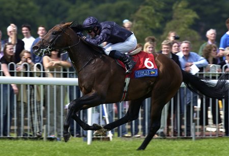Hawk Wing wins the Eclipse Stakes at Sandown
