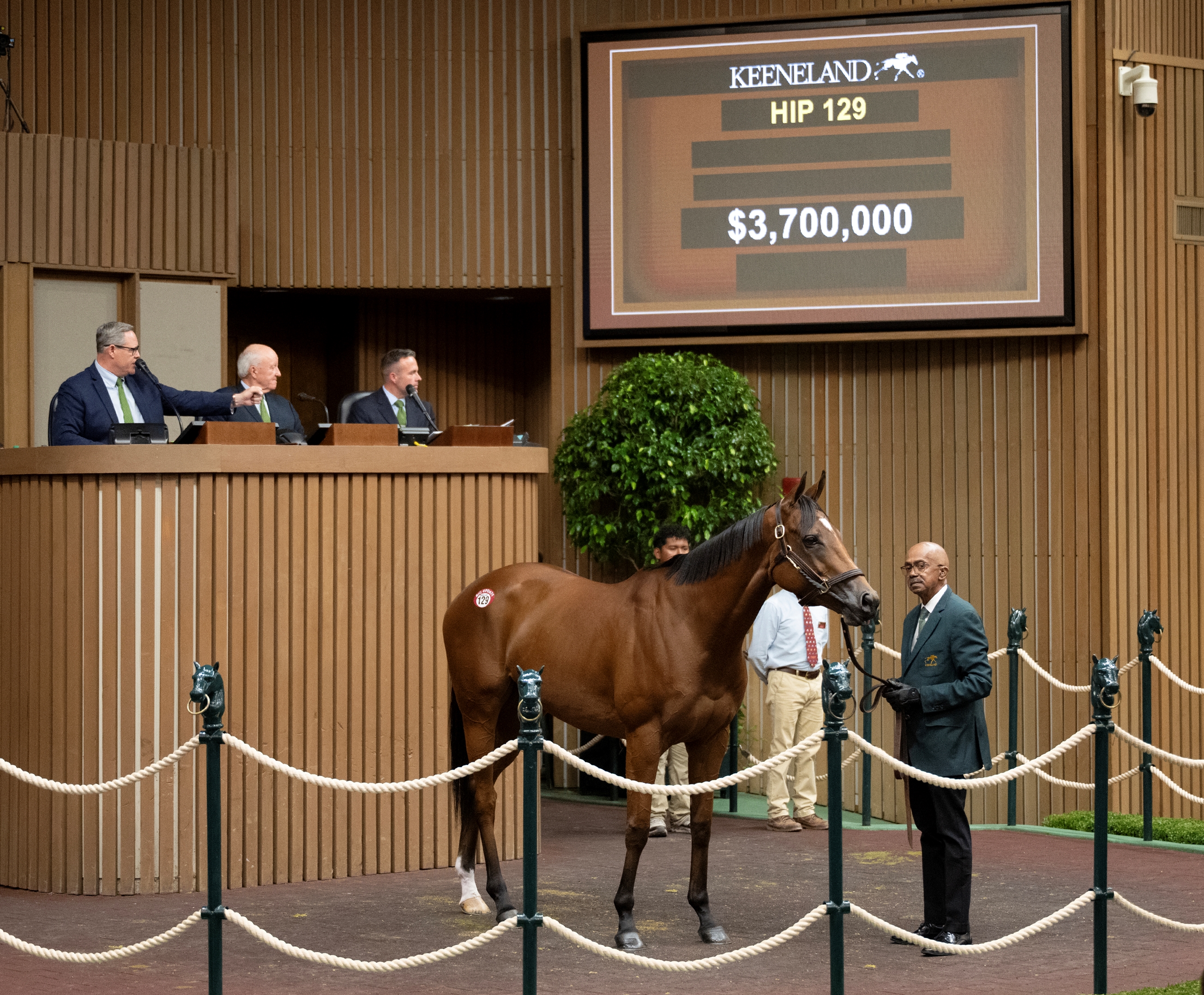 Lush Lips Tops Day 1 of Keeneland November Sale - BloodHorse
