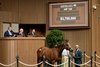HIP 129, filly Lush Lips by Ten Sovereigns out of Lamyaa from the Taylor Made consignment goes through the ring at $3.7M at the Keeneland November Breeding Stock sale Tuesday Nov. 4 2025 in Lexington, KY.  Photo BY &#169;Anne Eberhardt.