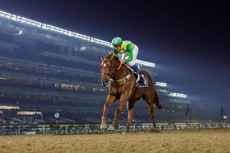 Meydan Racecourse