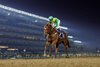 Echo Point wins the 2025 Dubai Islands Handicap at Meydan Racecourse