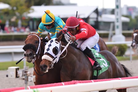Glorious Boy (inside) finishes in a dead heat for the win but later is declared the sole winner of the Pulpit Stakes at Gulfstream Park