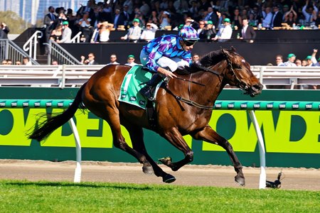 Pride Of Jenni wins the 2025 Empire Rose Stakes at Flemington Racecourse