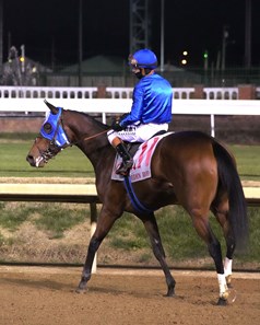 Bella Rio Stallion Bella Ballerina - Horse Profile - BloodHorse