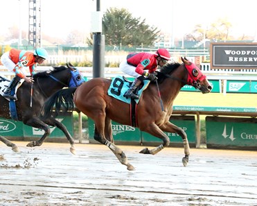 Don Knippenberg Racing Timing Difference - Horse Profile - BloodHorse