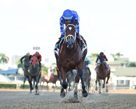 Tessellate wins the 2025 Juvenile Fillies Sprint Stakes at Gulfstream Park