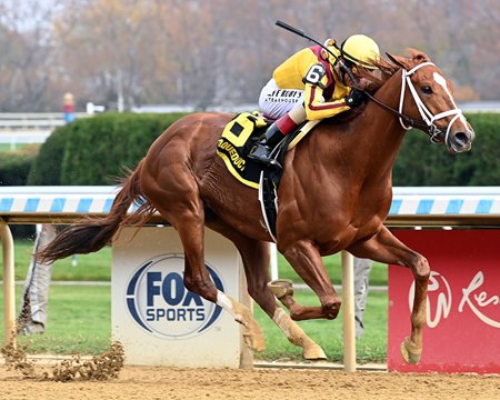Courting breaks his maiden at Aqueduct Racetrack