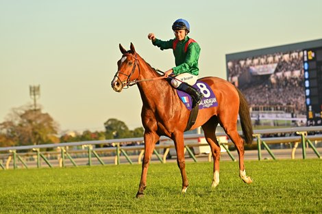 Calandagan Named World's Best Racehorse for 2025