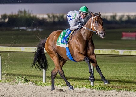Touchuponastar wins the Delta Mile Stakes at Delta Downs
