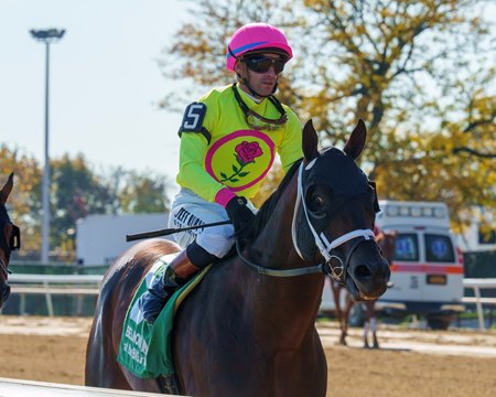 Bishops Bay after winning the Forty Niner Stakes at Aqueduct Racetrack