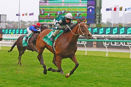 Via Sistina wins the 2025 Champions Stakes at Flemington Racecourse