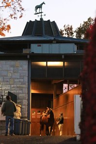 Keeneland November Breeding Stock Sale