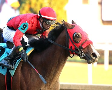 Don Knippenberg Racing Timing Difference - Horse Profile - BloodHorse
